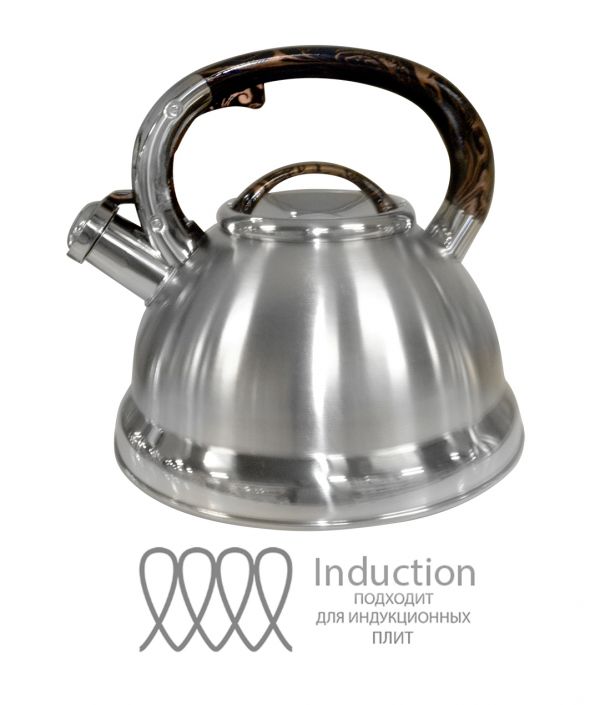 Kettle 3.3l HM 5575 with a whistle